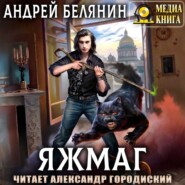 бесплатно читать книгу Яжмаг автора Андрей Белянин