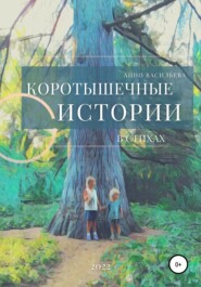 бесплатно читать книгу Коротышечные истории в стихах автора Айно Васильева