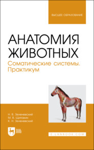 бесплатно читать книгу Анатомия животных. Соматические системы. Практикум. Учебное пособие для вузов автора Константин Зеленевский