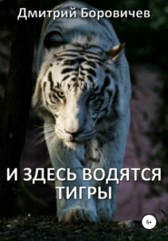 бесплатно читать книгу И здесь водятся тигры автора Дмитрий Боровичев