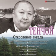 бесплатно читать книгу Откровение ангела автора Алексей Тенчой
