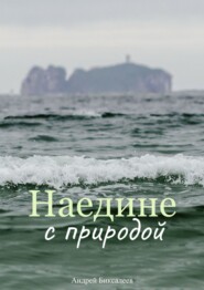 бесплатно читать книгу Наедине с природой автора Андрей Биксалеев