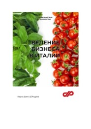 бесплатно читать книгу Ведение бизнеса в Италии автора Карло Д'Андреа