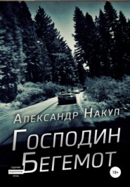 бесплатно читать книгу Господин Бегемот автора Александр Накул