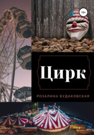 бесплатно читать книгу Цирк автора Розалина Будаковская