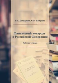 бесплатно читать книгу Финансовый контроль в Российской Федерации автора Светлана Кожушко