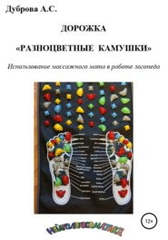 бесплатно читать книгу Дорожка «Разноцветные камушки». Использование массажного мата в работе логопеда автора Анастасия Дуброва