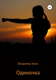 бесплатно читать книгу Одиночка автора Владимир Анин
