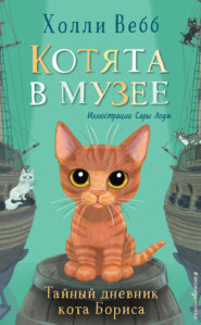 бесплатно читать книгу Тайный дневник кота Бориса автора Холли Вебб