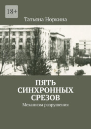 бесплатно читать книгу Пять синхронных срезов. Механизм разрушения автора Татьяна Норкина