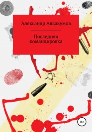 бесплатно читать книгу Последняя командировка автора Александр Аввакумов