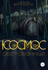 бесплатно читать книгу Космос обетованный автора Софья Волошина