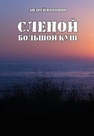 бесплатно читать книгу Слепой. Большой куш автора Андрей Воронин
