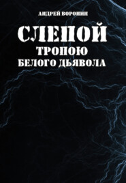 бесплатно читать книгу Слепой. Тропою белого дьявола автора Андрей Воронин