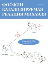 бесплатно читать книгу Фосфин-катализируемая реакция Михаэля автора А. Салин