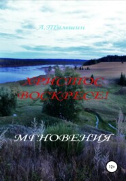 бесплатно читать книгу Мгновения автора Александр Тимшин