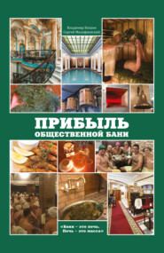 бесплатно читать книгу Прибыль общественной бани автора Сергей Малафиевский