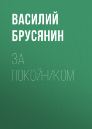 бесплатно читать книгу За покойником автора Василий Брусянин