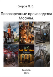 бесплатно читать книгу Пивоваренные производства Москвы автора Павел Егоров