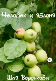 бесплатно читать книгу Человек и яблоня автора Шая Воронкова