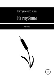 бесплатно читать книгу Из глубины автора Яна Евтушенко
