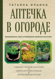 бесплатно читать книгу Аптечный огород. Справочник целебных трав, которые вы можете вырастить сами автора Татьяна Ильина