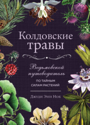 бесплатно читать книгу Колдовские травы. Ведьмовской путеводитель по тайным силам растений автора Джуди Энн Нок