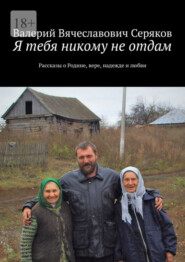 бесплатно читать книгу Я тебя никому не отдам. Рассказы о Родине, вере, надежде и любви автора Валерий Серяков