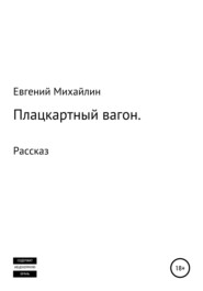 бесплатно читать книгу Плацкартный вагон автора Евгений Михайлин