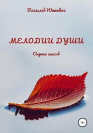 бесплатно читать книгу Мелодии души автора Вячеслав Юшкевич