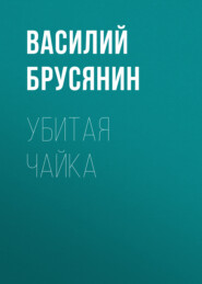 бесплатно читать книгу Убитая чайка автора Василий Брусянин