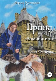 бесплатно читать книгу Принц на «Ламборгини» автора Лариса Куницына