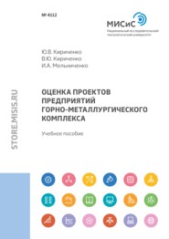 бесплатно читать книгу Оценка проектов предприятий горно-металлургического комплекса автора Илья Мельниченко