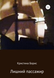 бесплатно читать книгу Лишний пассажир автора Кристина Борис