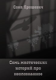 бесплатно читать книгу Семь мистических историй про неопознанное автора Соня Ярошевич