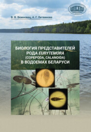 бесплатно читать книгу Биология представителей рода Eurytemora (Copepoda, Calanoida) в водоемах Беларуси автора Анастасия Литвинова