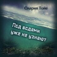 бесплатно читать книгу Под водами уже не узнают автора Олария Тойе