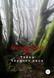 бесплатно читать книгу Приключения ДД. Тайна Чёрного леса автора Евгения Ляшко