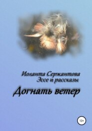 бесплатно читать книгу Догнать ветер автора Иоланта Сержантова