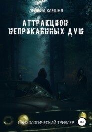 бесплатно читать книгу Аттракцион неприкаянных душ автора Леонид Клешня