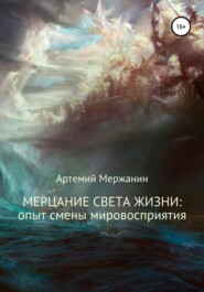бесплатно читать книгу Мерцание света жизни: опыт смены мировосприятия автора Артемий Мержанин