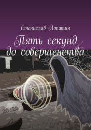 бесплатно читать книгу Пять секунд до совершенства автора Станислав Лопатин