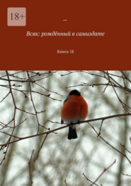 бесплатно читать книгу Всяк: рождённый в самиздате. Книга 18 автора Мария Ярославская