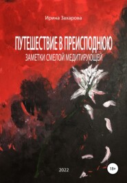 бесплатно читать книгу Путешествие в Преисподнюю. Заметки смелой медитирующей автора Ирина Захарова