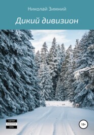 бесплатно читать книгу Дикий дивизион автора Николай Зимний