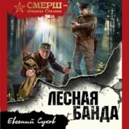 бесплатно читать книгу Лесная банда автора Евгений Сухов