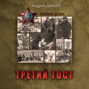 бесплатно читать книгу Третий тост автора Андрей Дышев