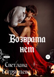 бесплатно читать книгу Возврата нет автора Светлана Багрянцева