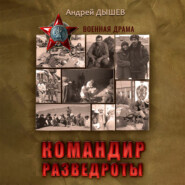 бесплатно читать книгу Командир разведроты автора Андрей Дышев
