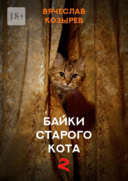 бесплатно читать книгу Байки старого кота – 2 автора Вячеслав Козырев
